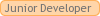 Junior Developer